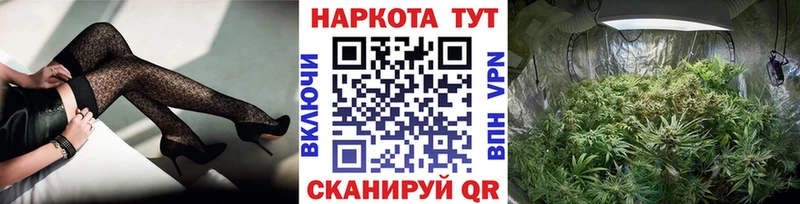 Где можно купить наркотики Воронеж Псилоцибиновые грибы Меф ГАШ Конопля Амфетамин