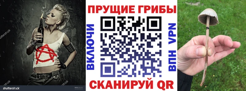 Галлюциногенные грибы мицелий ссылка на мегу зеркало Воронеж